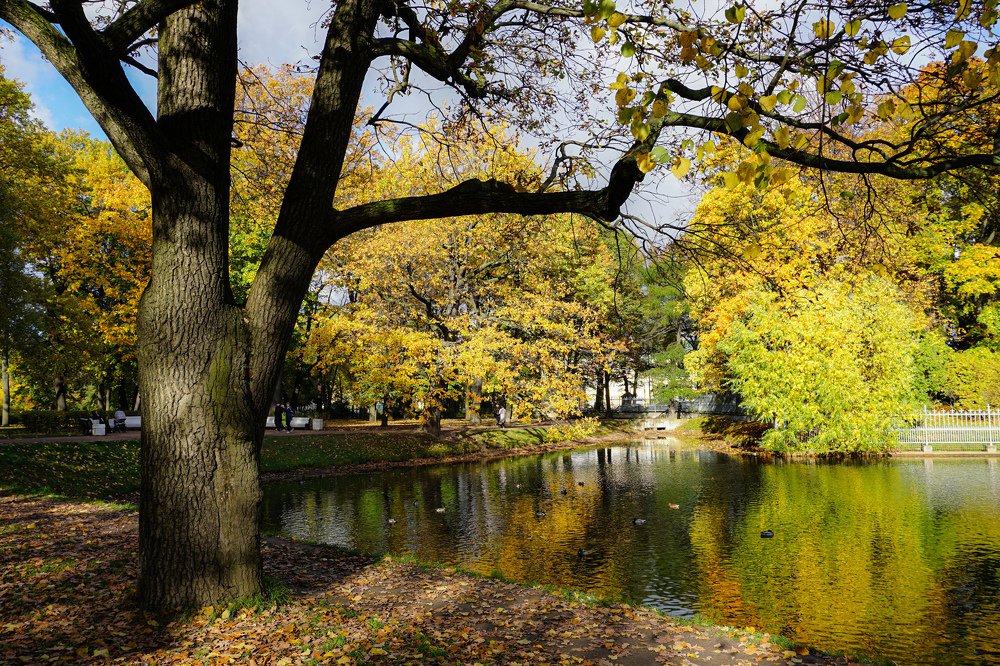 Photograph by Ольга Воронова