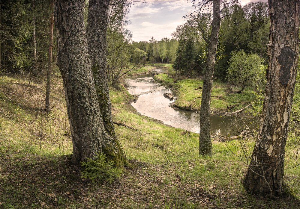 Photograph by Александр Корнейчев