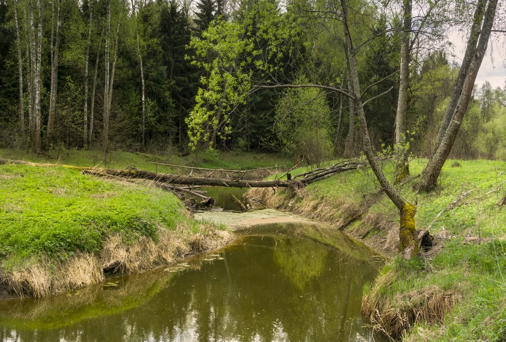 Photograph by Александр Корнейчев