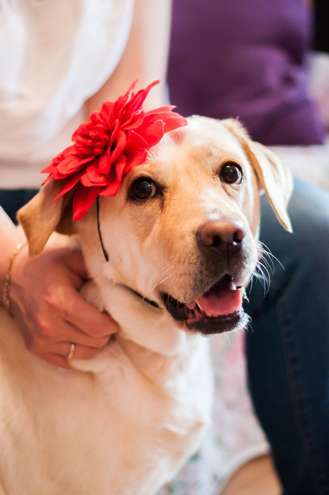 Photograph by Наталья Золотарева