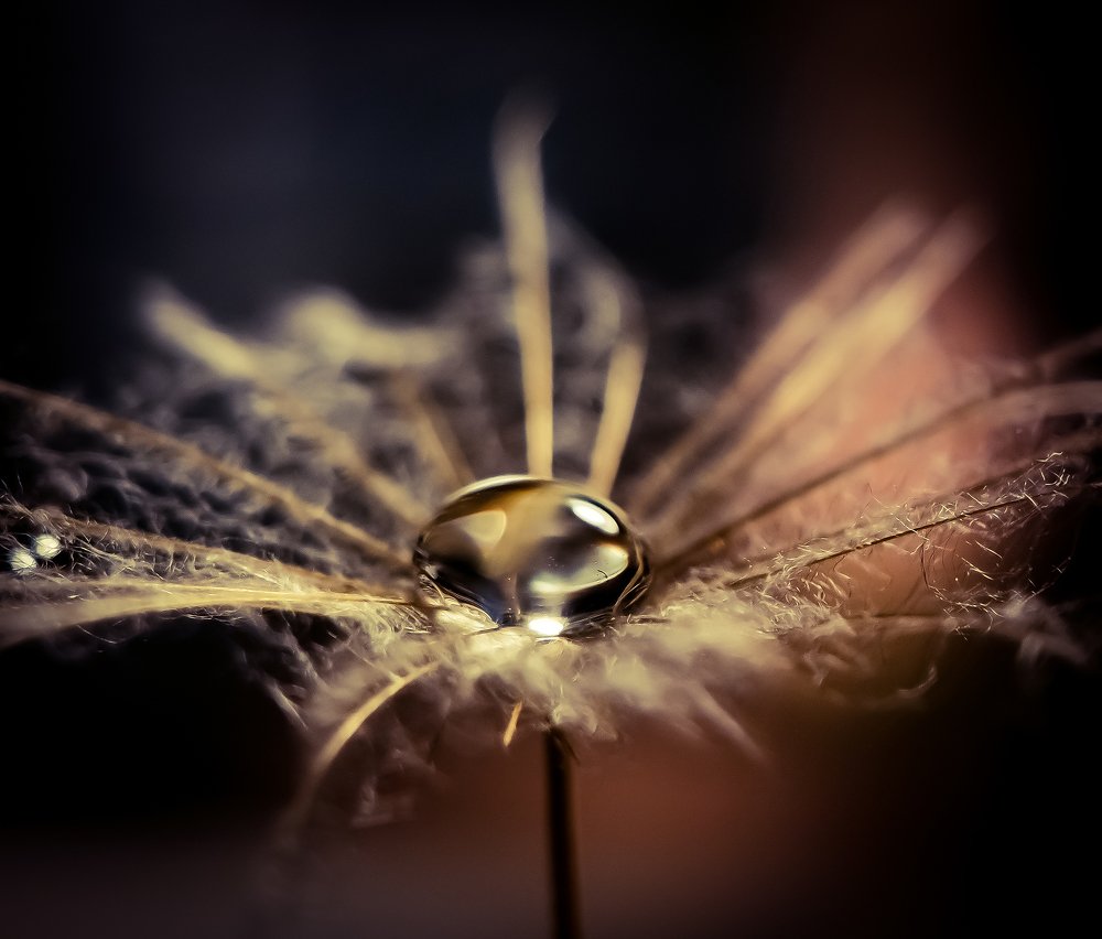 Photograph by Анастасия Винокурова