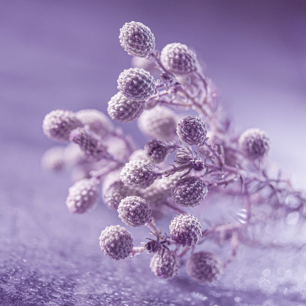 Фотография автора Марина Алексеевская