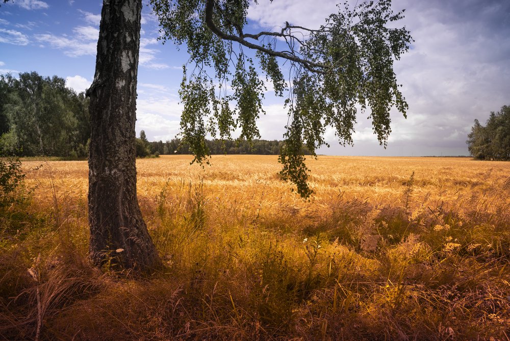 Photograph by Александр Корнейчев