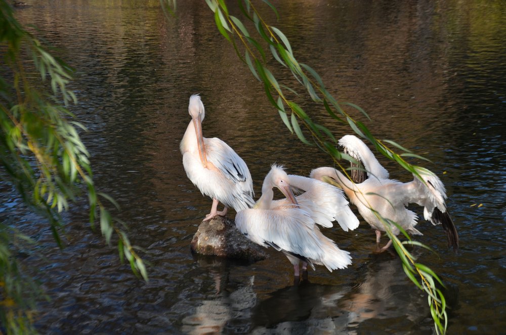 Photograph by Наталия Иванова