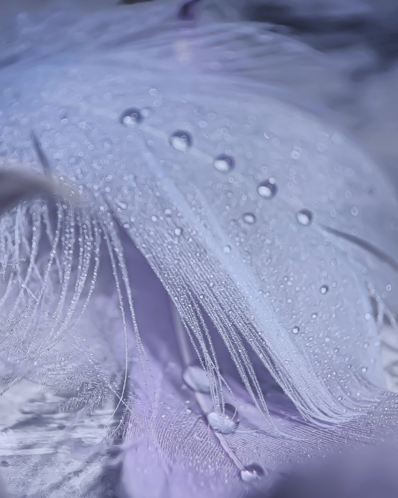 Фотография автора Марина Алексеевская