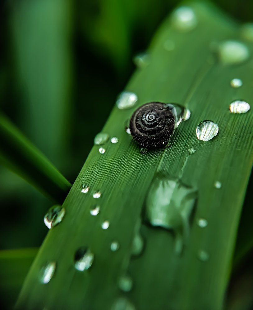 Фотография автора Марина Алексеевская
