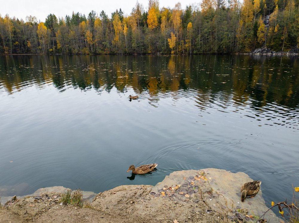 Фотография автора Тамара Нижельская