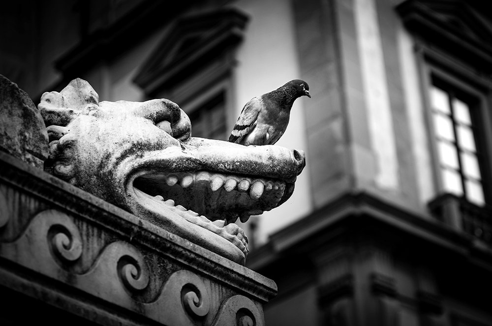 Photograph by Lubica Kremenova