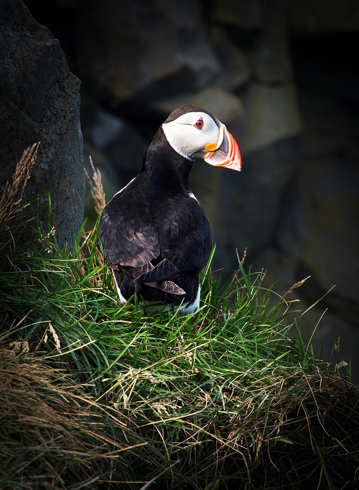 Photograph by Lubica Kremenova