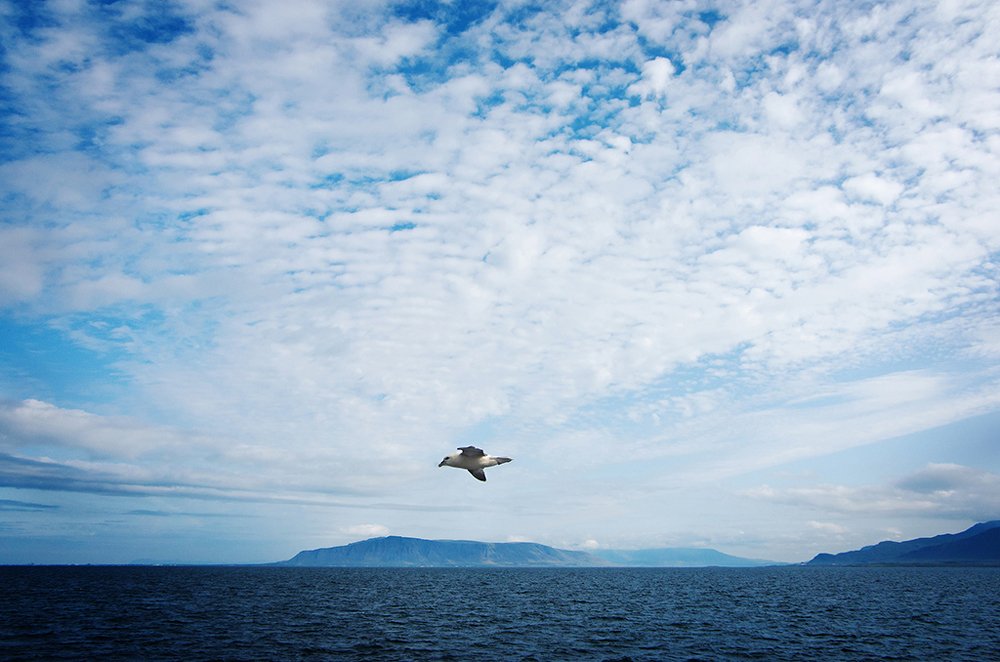 Photograph by Lubica Kremenova