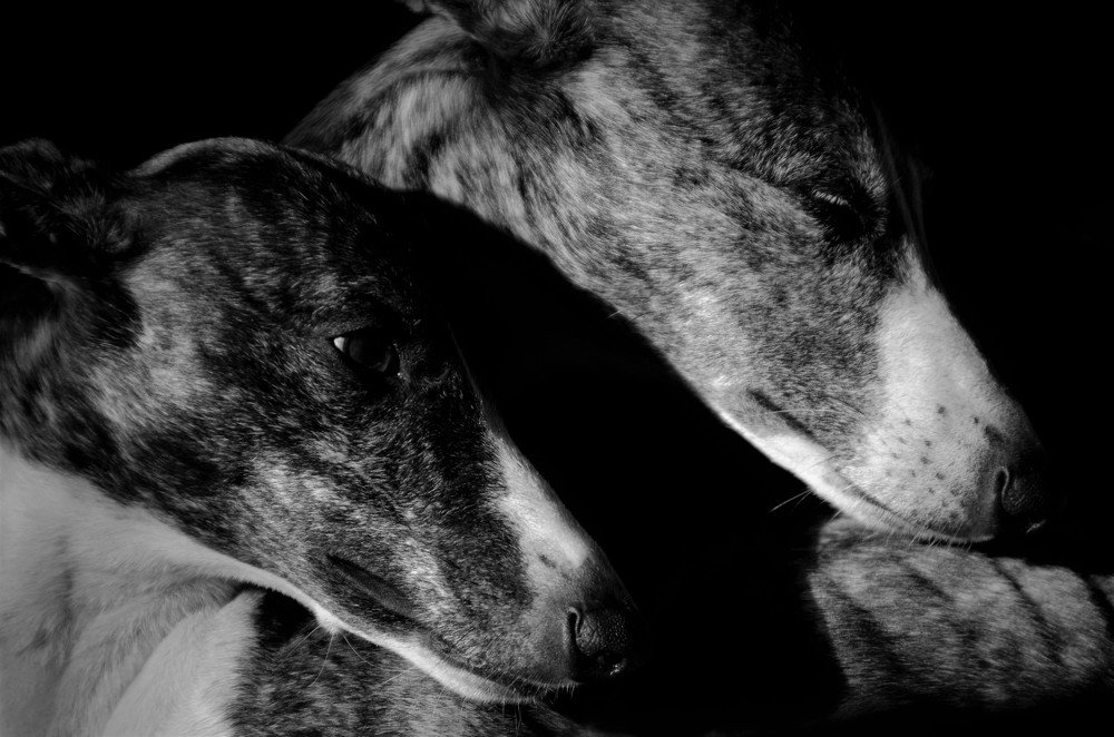 Синхронизация