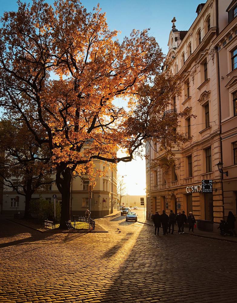 Photograph by Ольга Швили