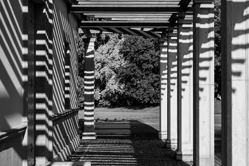 Photograph by Евгения Луговая