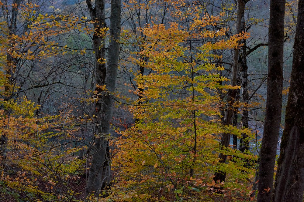 Photograph by Yaroslav