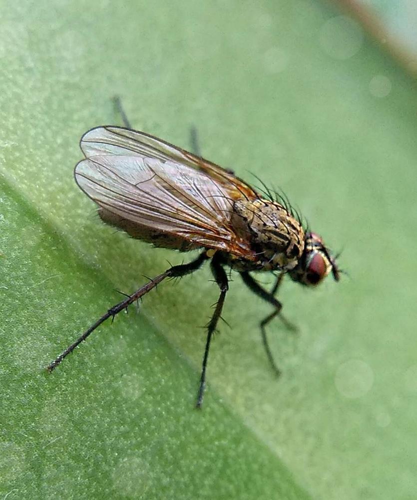 Фотография автора Марина Алексеевская