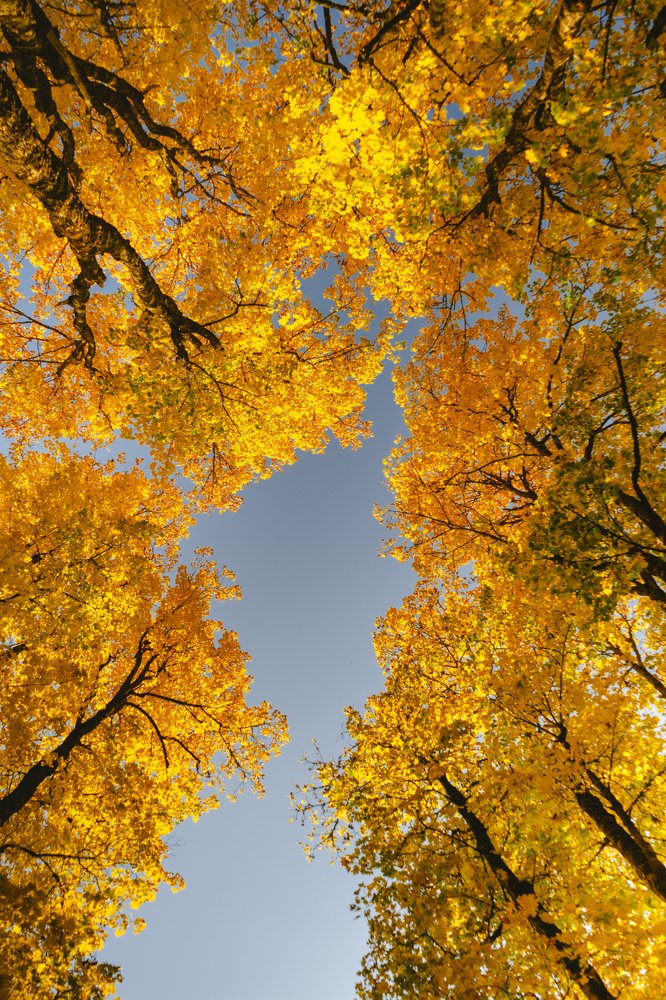 Photograph by Кирилл Жолобов