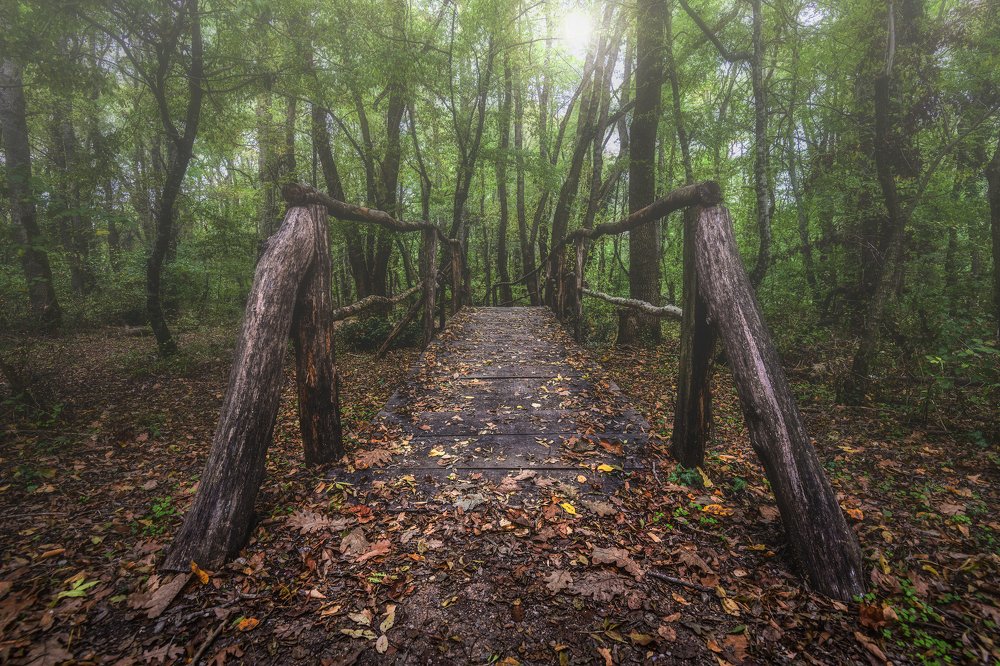 Photograph by Vasil Nanev