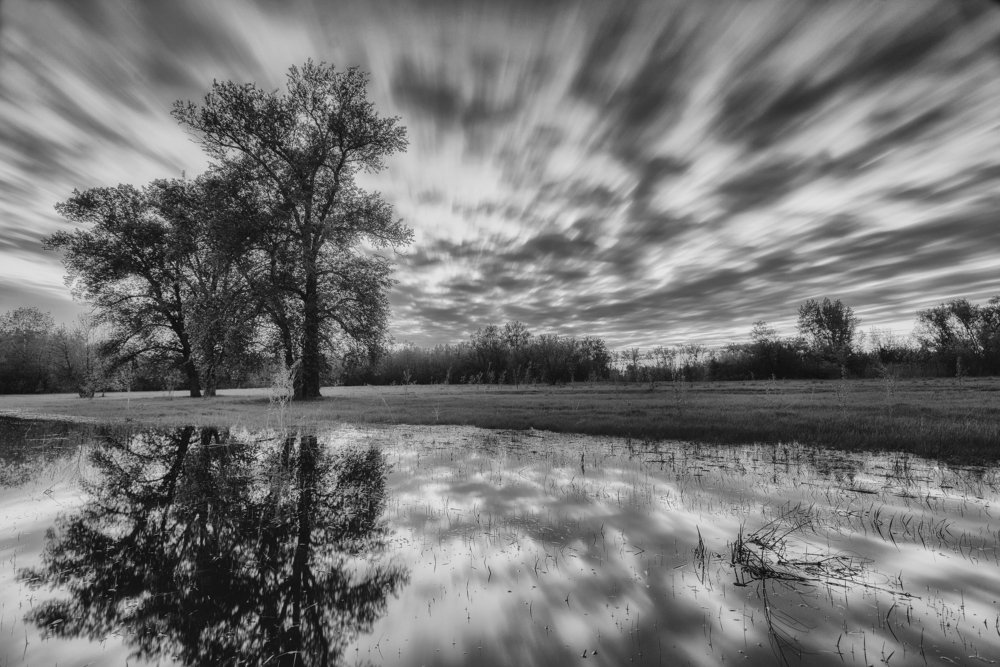 Фотография автора Игорь Баранов