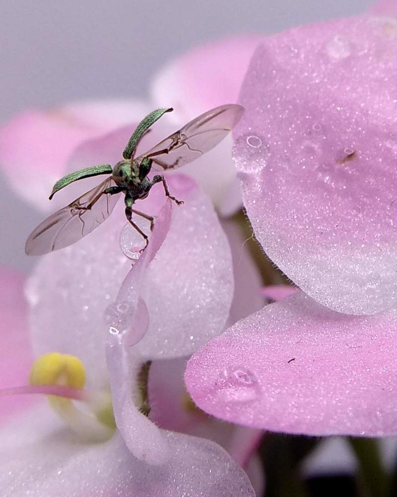 Фотография автора Марина Алексеевская