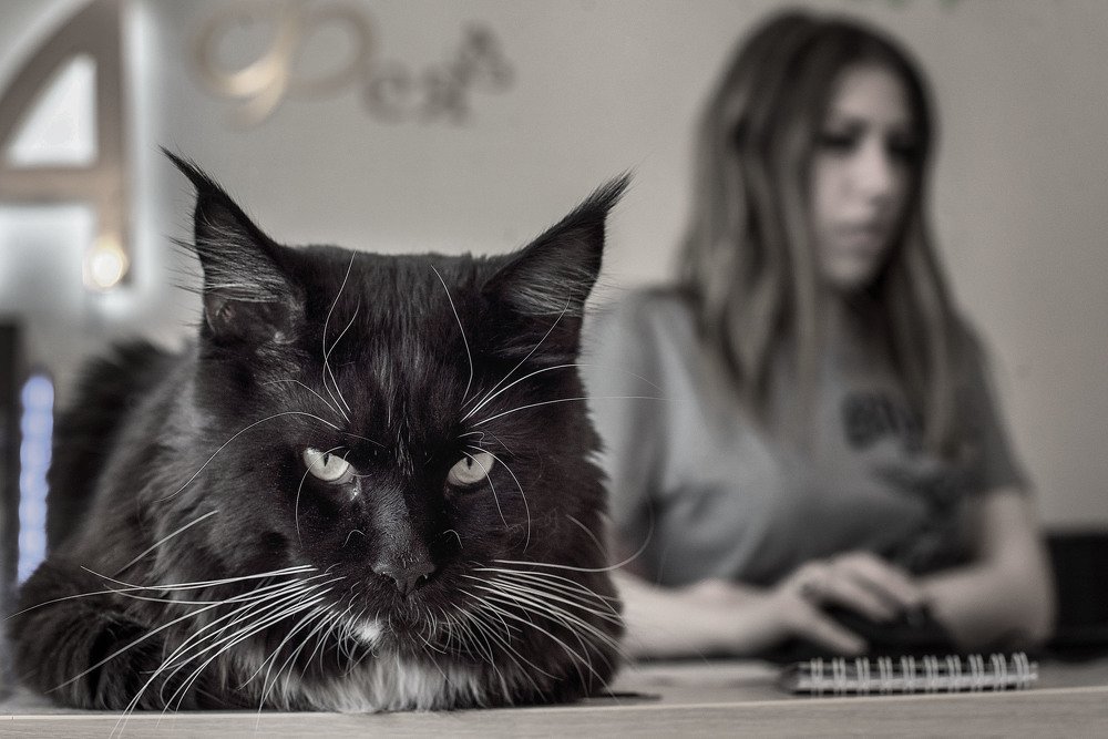 Фотография автора Ахмат Байсиев