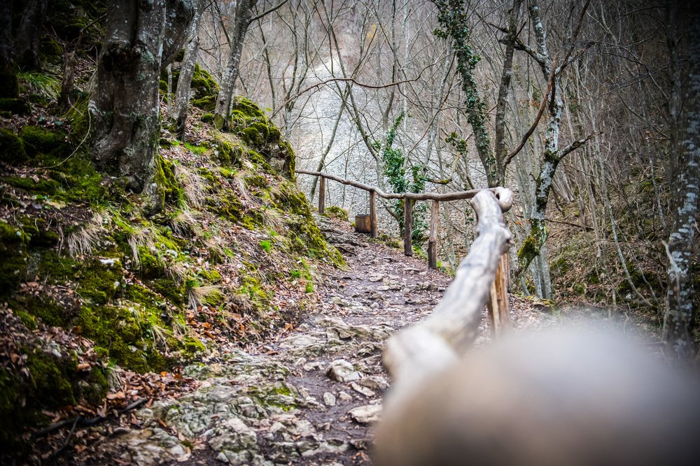 Photograph by Radu Constantinescu