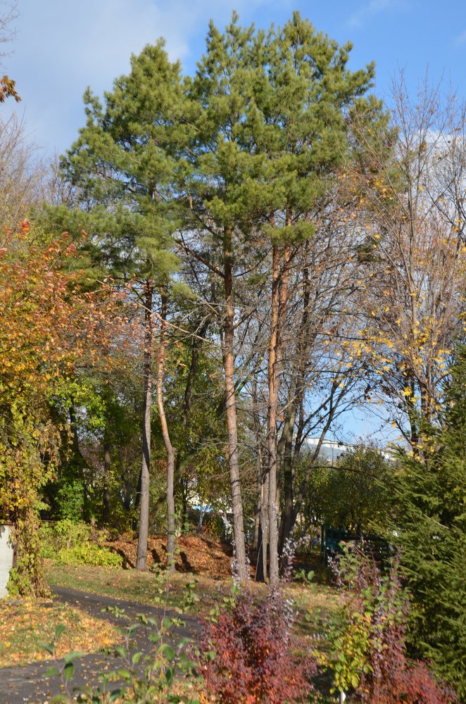 Photograph by Наталия Иванова