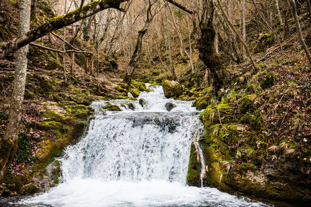 Photograph by Radu Constantinescu