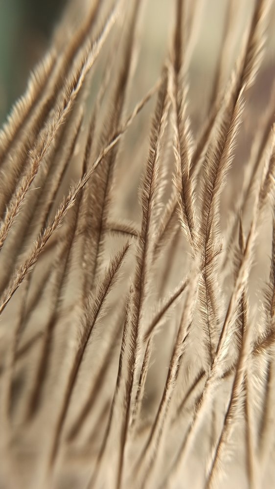 Photograph by Ирина Киреева