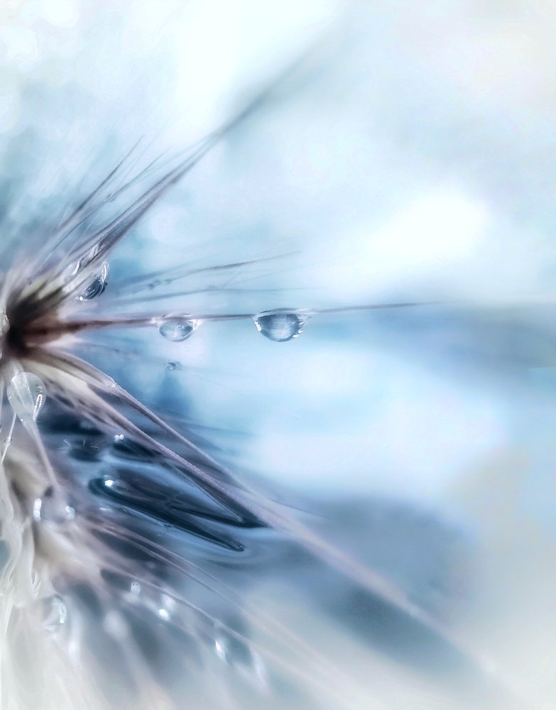 Космический колосок