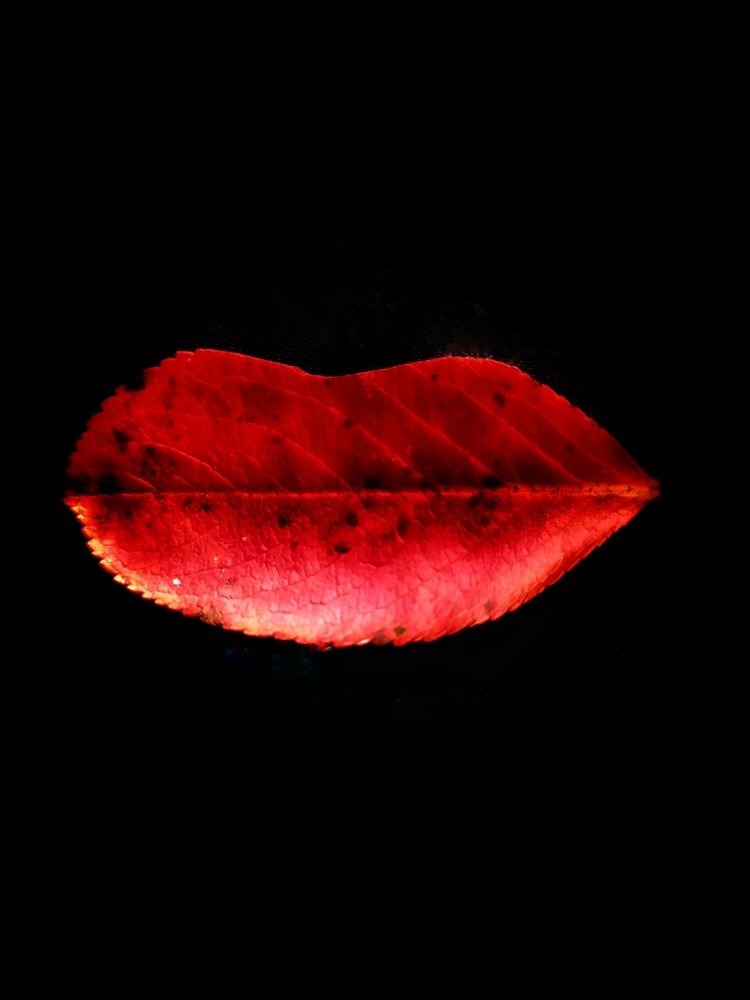 Photograph by Любовь Сухова