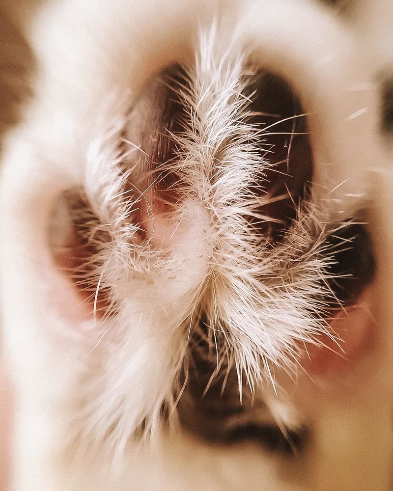 Photograph by Наталья Мальцева