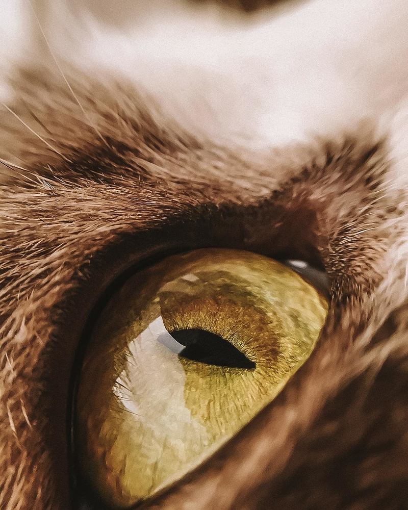 Photograph by Наталья Мальцева