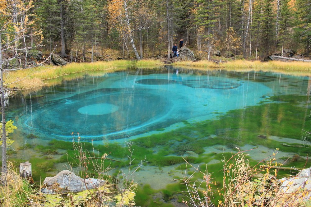 Photograph by Юлия