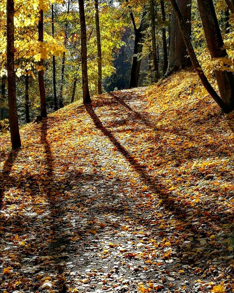 Фотография автора Павел Барский
