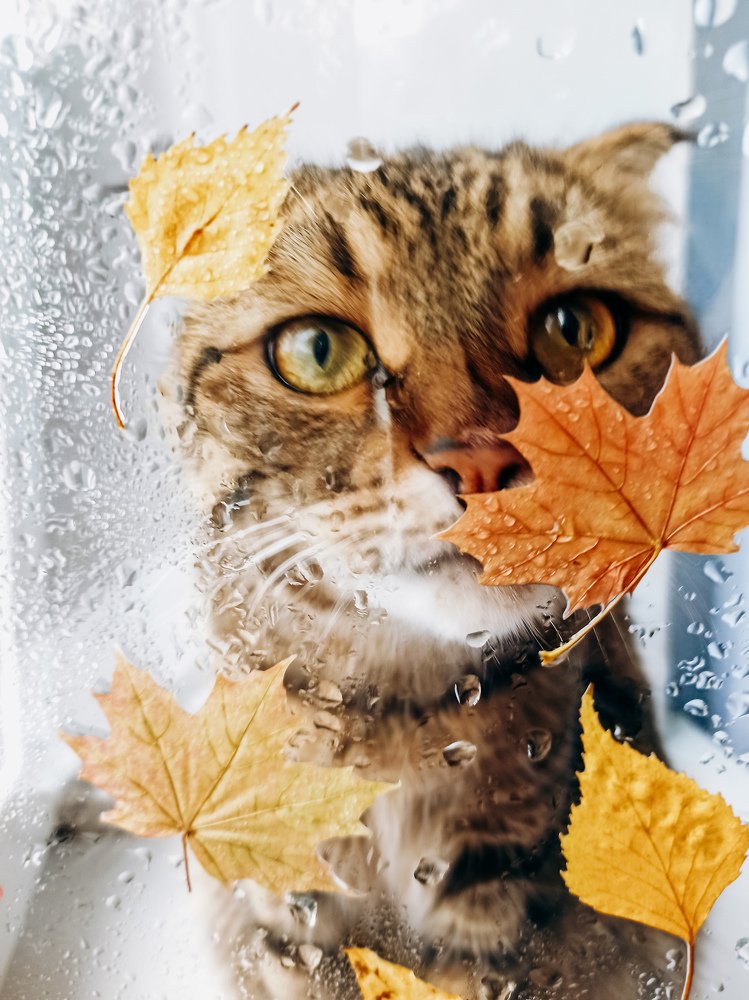 Photograph by Ирина Киреева