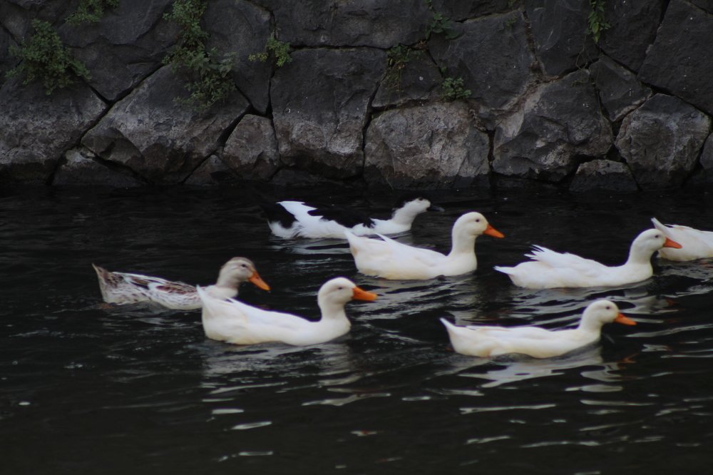 Фотография автора Вардан Гаспарян