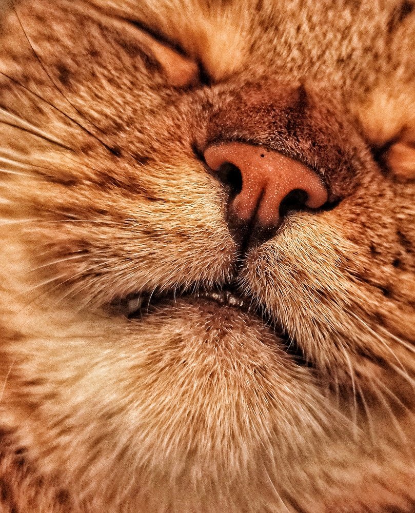 Photograph by Ирина Киреева