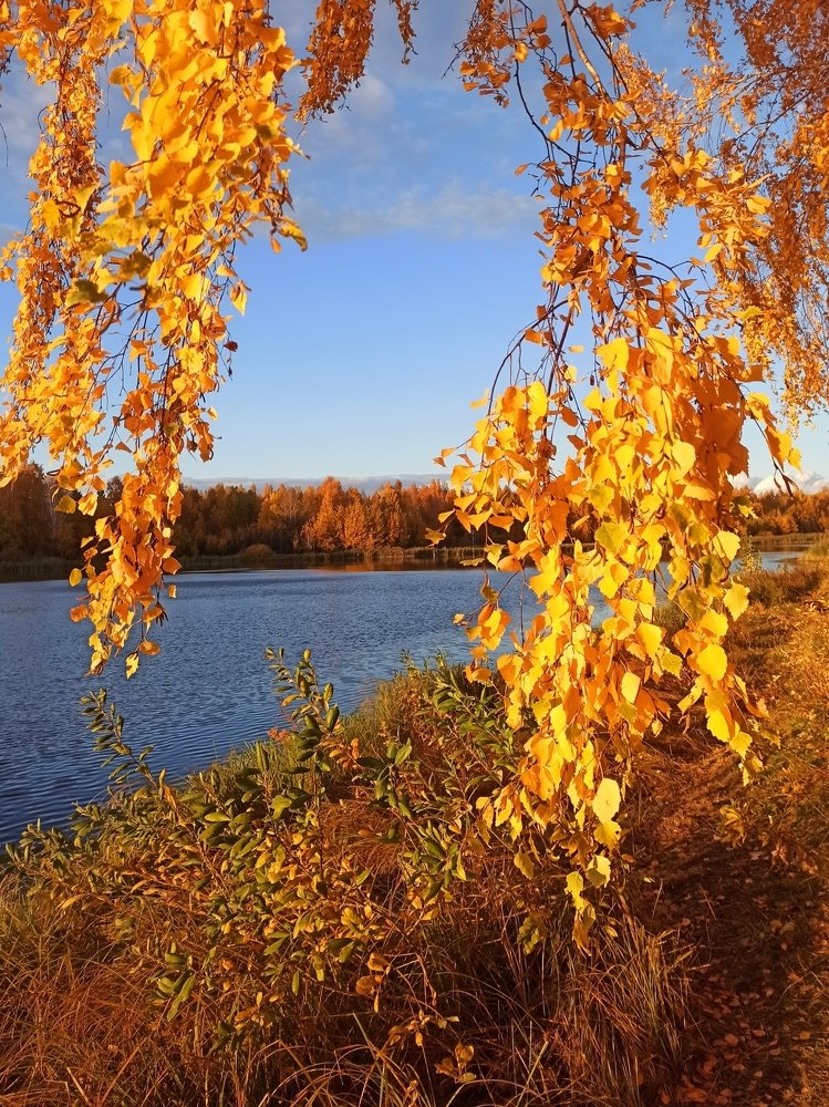 Photograph by Ирина Киреева