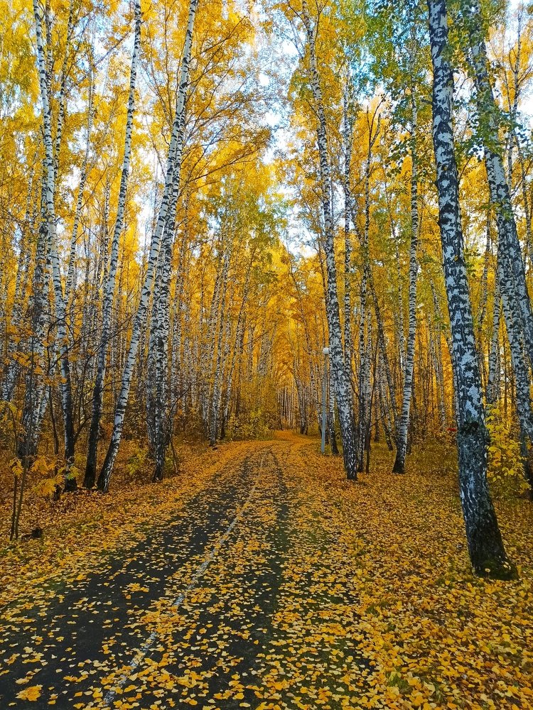 Photograph by Ирина Киреева