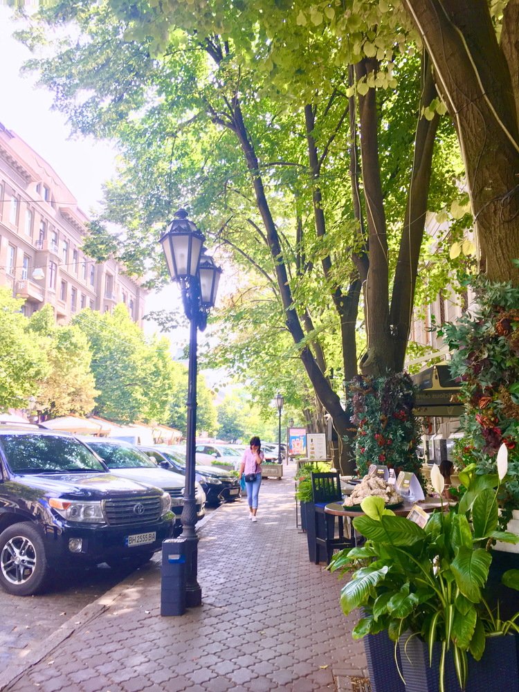 Photograph by Anna Krasova