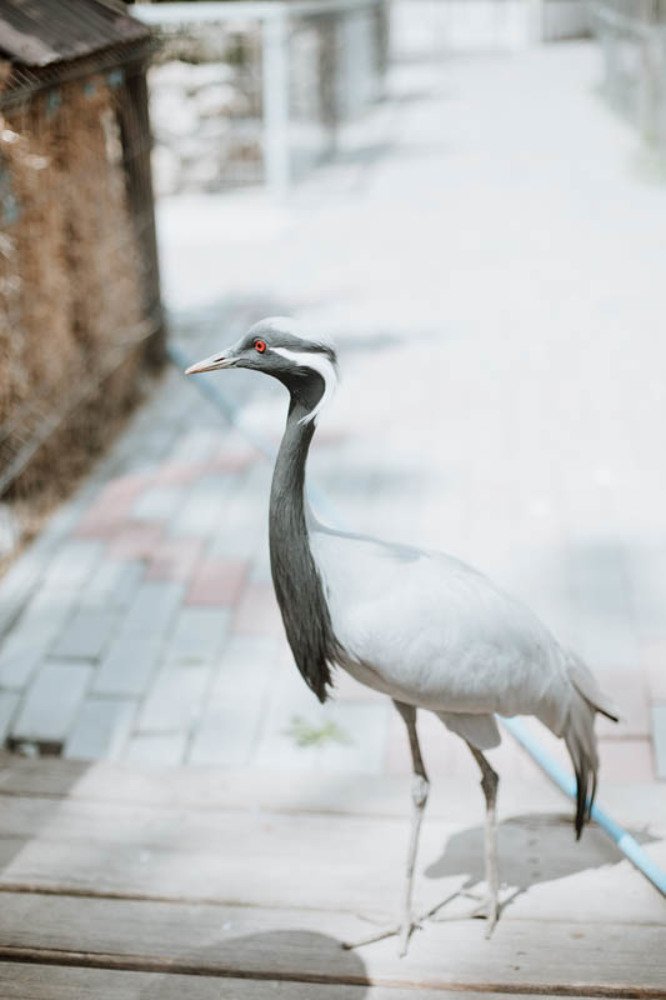 Photograph by Евгения Пирогова