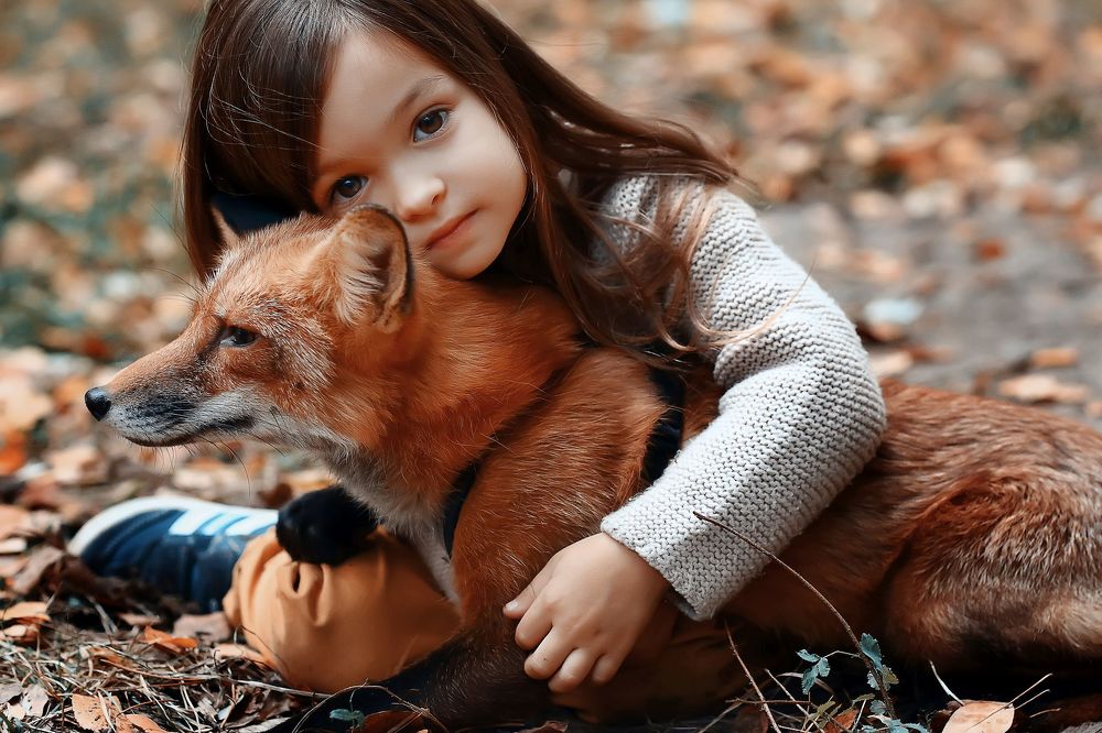 Photograph by Александр Козлов