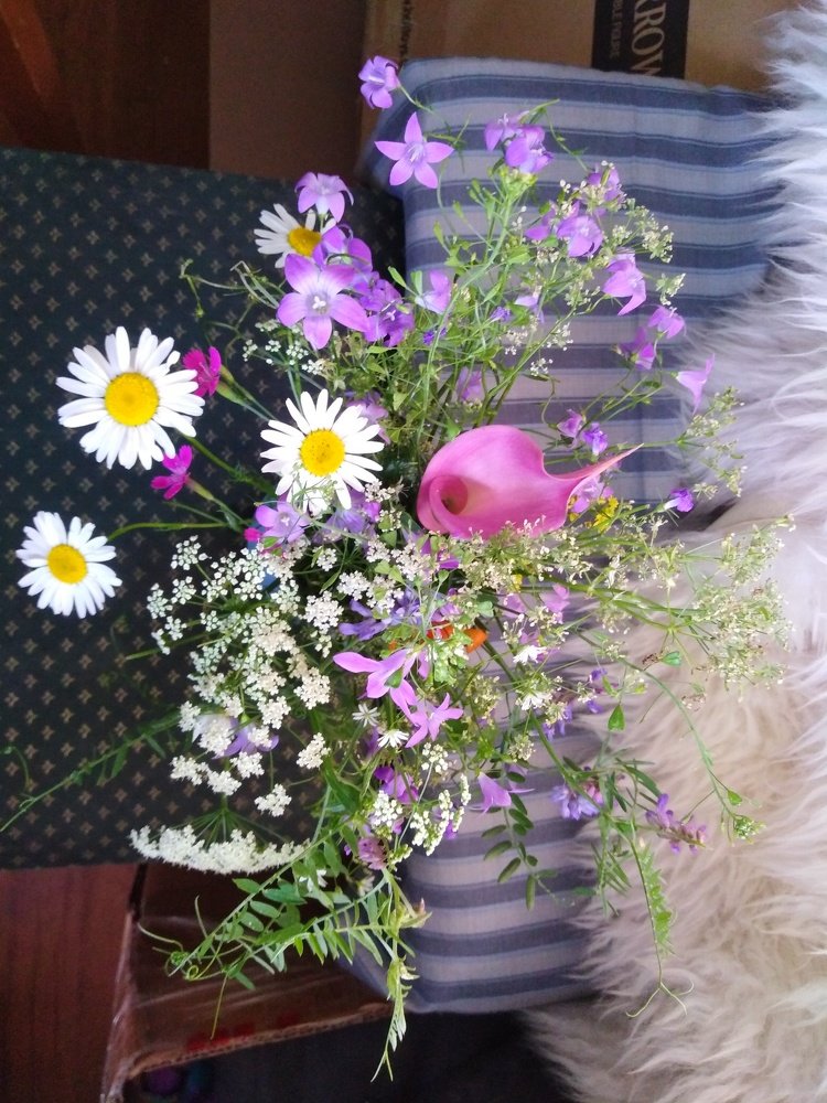 Photograph by Татьяна Ситникова