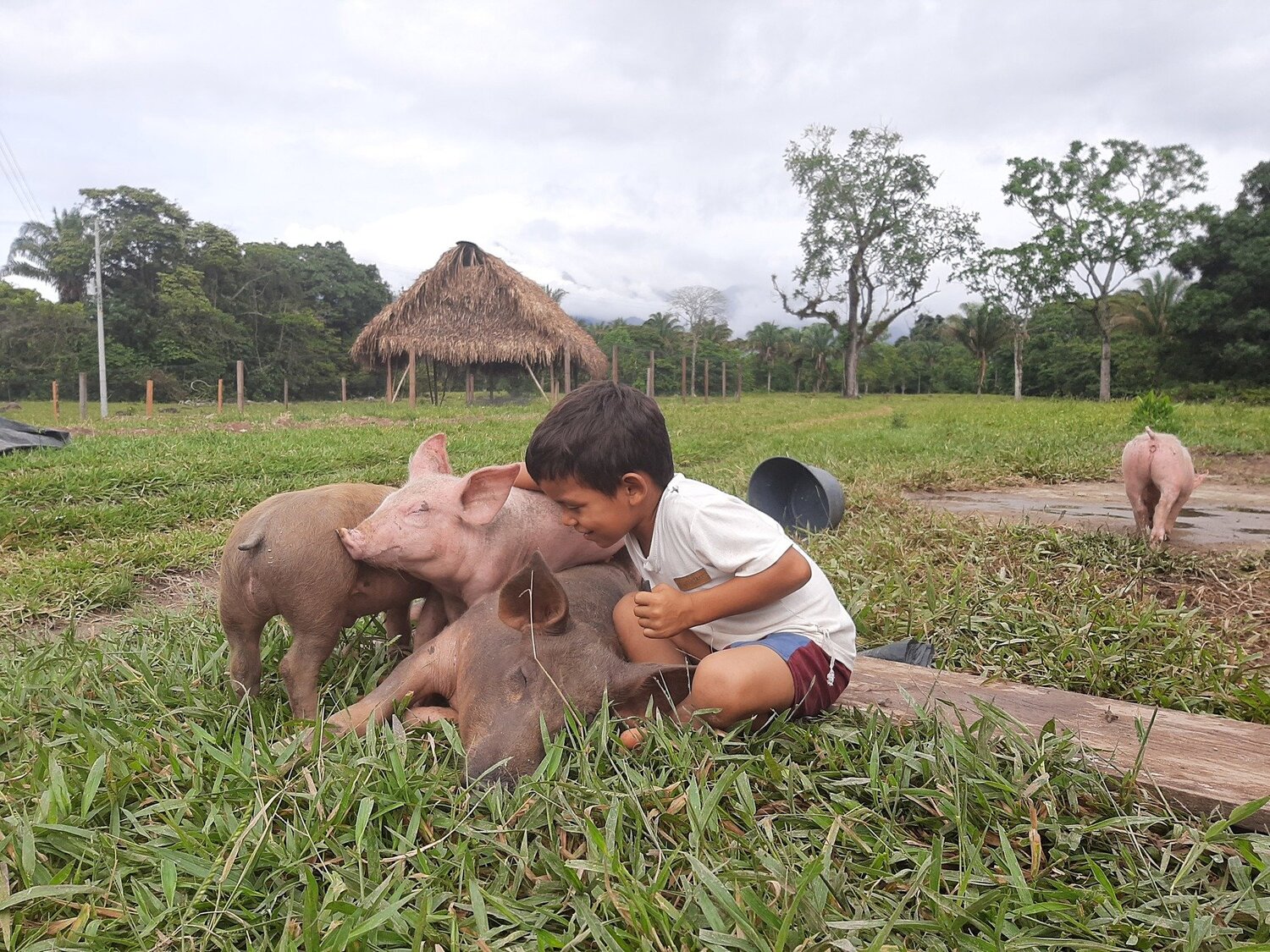 Photo #5127188