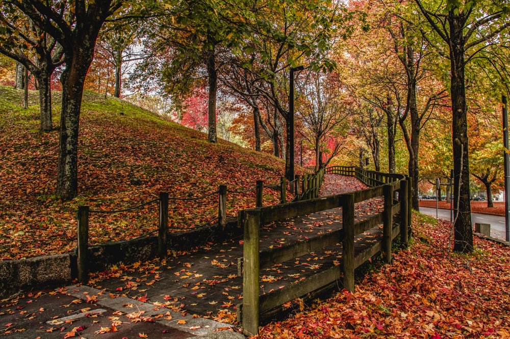 Photograph by Narciso Antonio Sousa Rocha