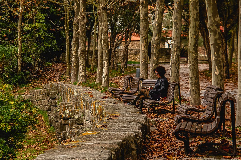 Photograph by Narciso Antonio Sousa Rocha