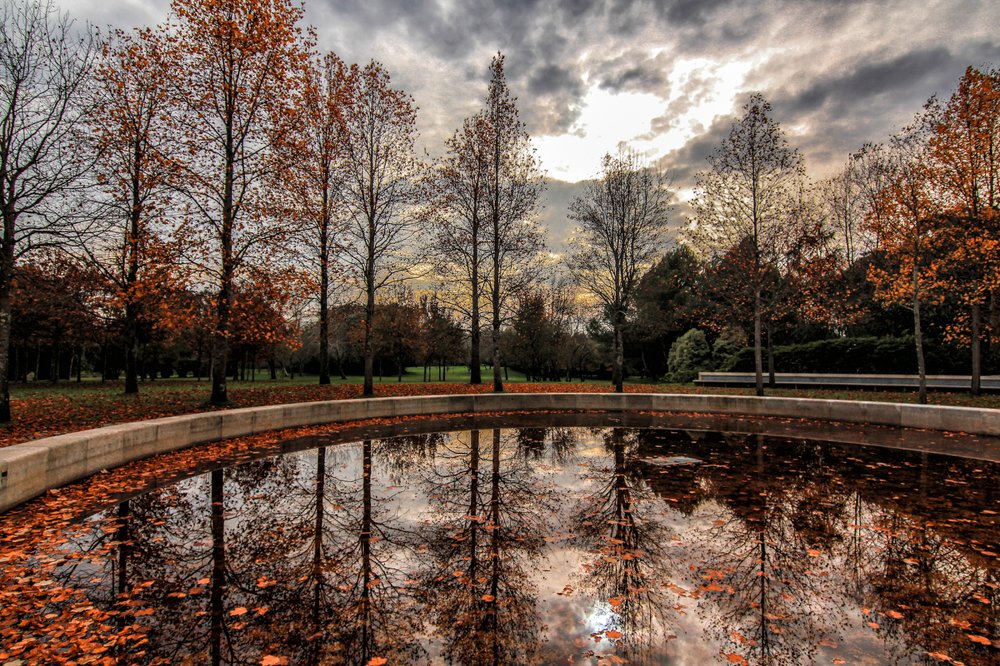 Photograph by Narciso Antonio Sousa Rocha