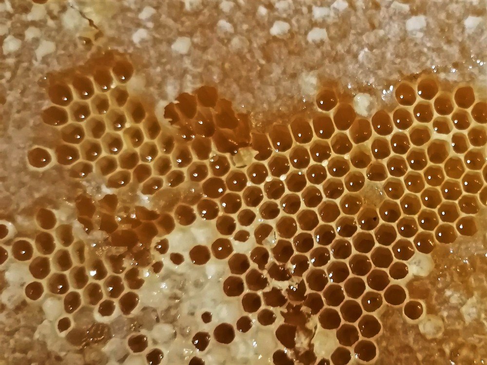 Honeycombs I
