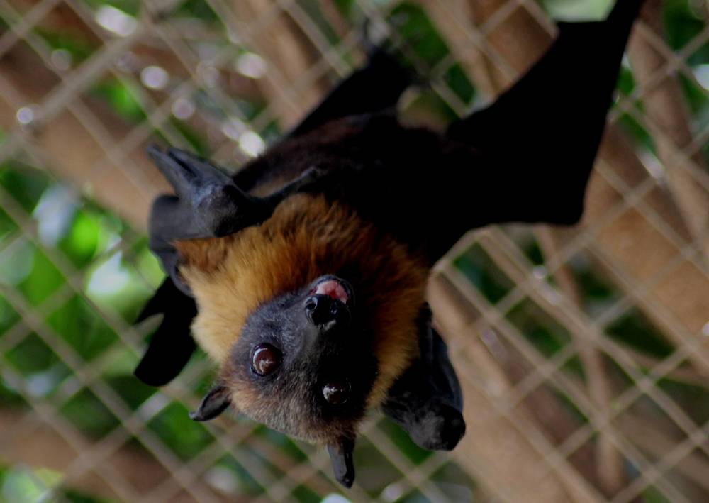 Photograph by Francisco Ferreira