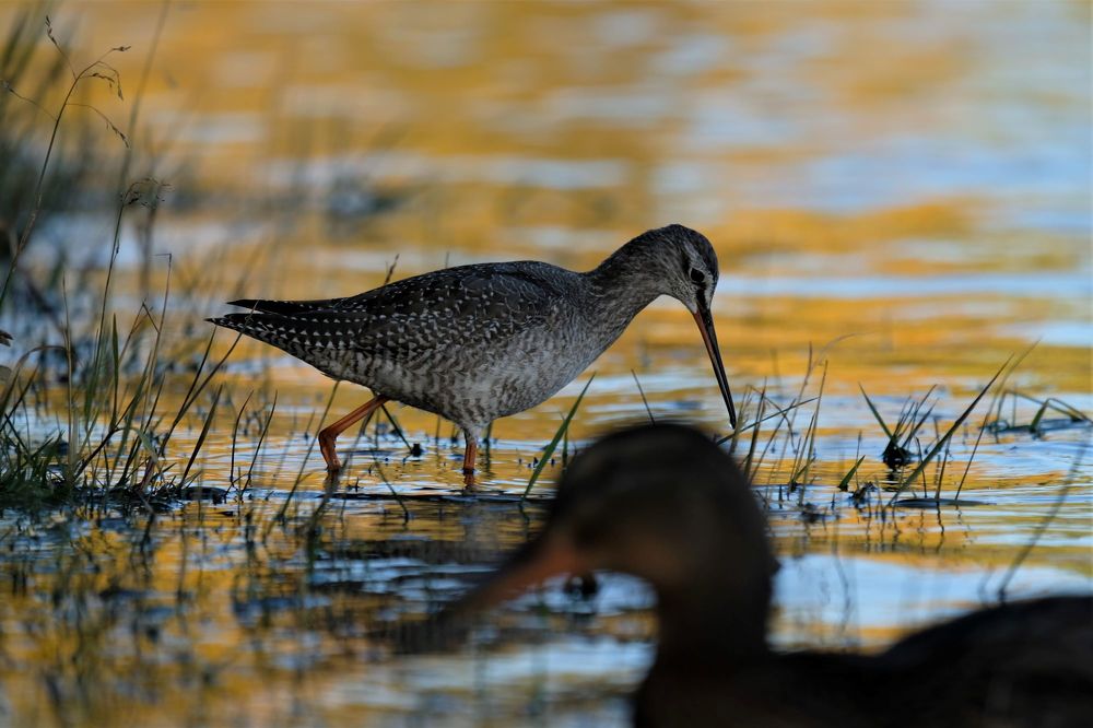 Photograph by Алексей Багурский